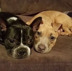 Meet your Posher, Denise